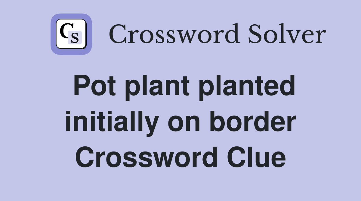 Pot plant planted initially on border Crossword Clue Answers